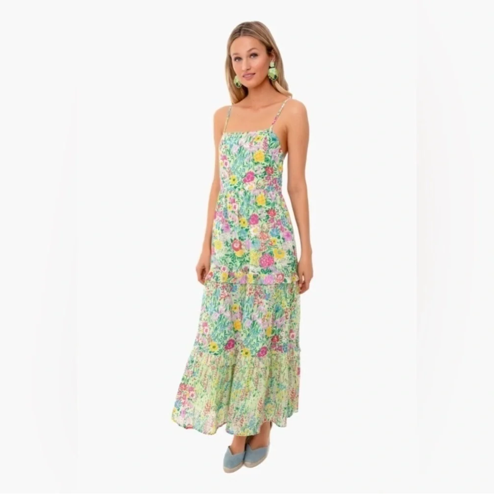 Banjanan Hazel Sleeveless Tiered Maxi Dress in Dawn Chorus Pistachio Green; XS - Picture 2 of 15